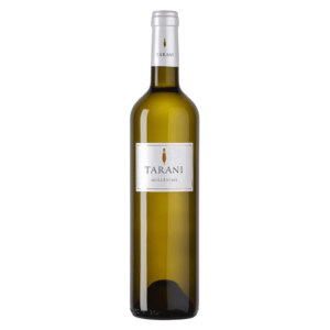 Tarani Blanc - IGP Comté Tolosan