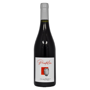 Terrasse d'Elise Pradelou 2021 - IGP Pays de l'Hérault