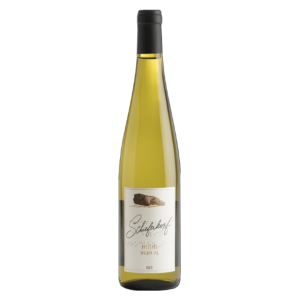 ALLEMAGNE Schieferkopf Riesling Baden