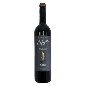 ARGENTINE Etchart Réserve Cafayate Malbec