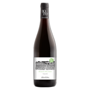 ESPAGNE Ribera Del Duero Dominio del Soto
